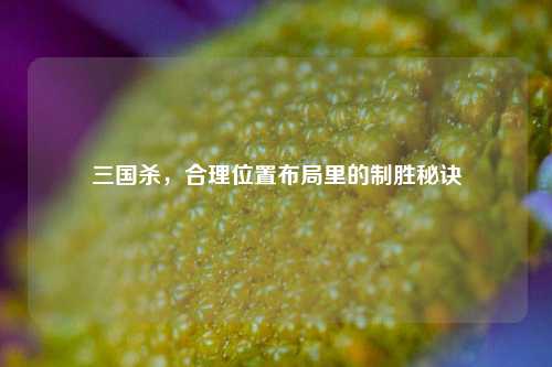 三国杀,合理位置布局里的制胜秘诀