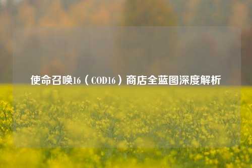使命召唤16(COD16)商店全蓝图深度解析