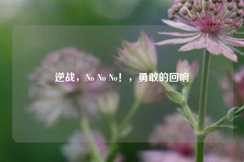 逆战,No No No!,勇敢的回响