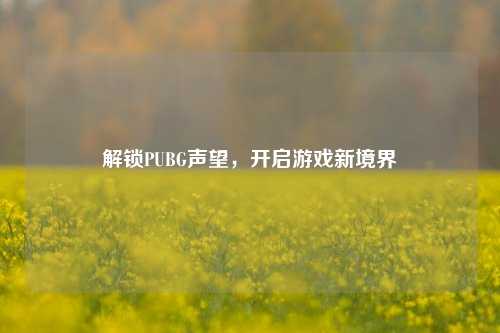 解锁PUBG声望,开启游戏新境界
