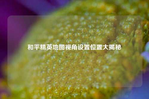 和平精英地图视角设置位置大揭秘