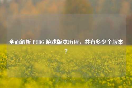 全面解析 PUBG 游戏版本历程,共有多少个版本?