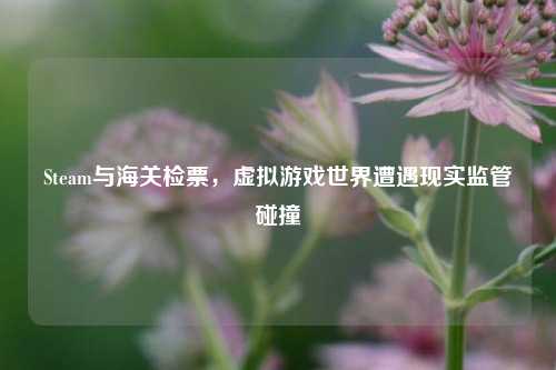 Steam与海关检票,虚拟游戏世界遭遇现实监管碰撞