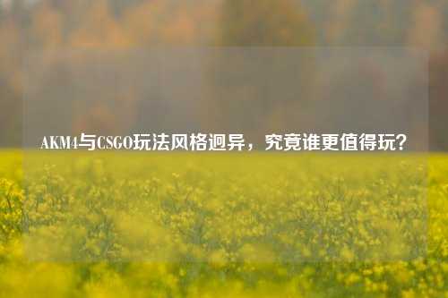 AKM4与CSGO玩法风格迥异,究竟谁更值得玩?