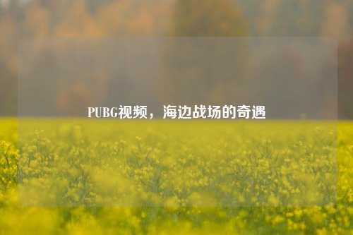 PUBG视频,海边战场的奇遇