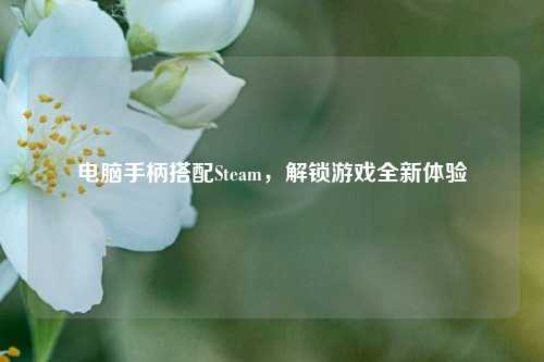 电脑手柄搭配Steam,解锁游戏全新体验