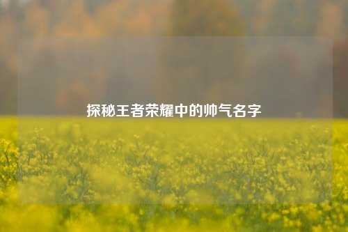 探秘王者荣耀中的帅气名字