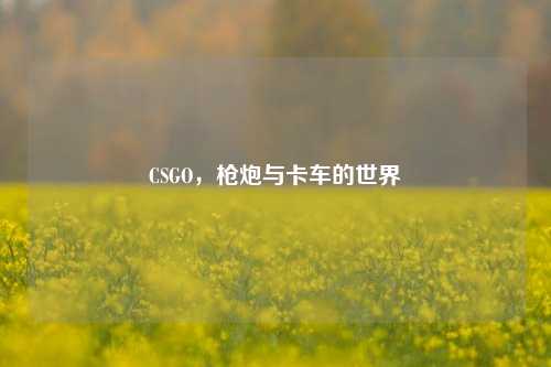 CSGO,枪炮与卡车的世界