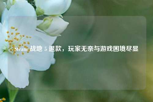 Steam 战地 5 退款,玩家无奈与游戏困境尽显