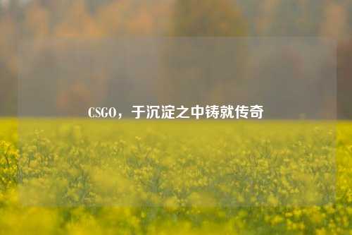CSGO,于沉淀之中铸就传奇