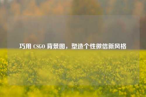 巧用 CSGO 背景图,塑造个性微信新风格