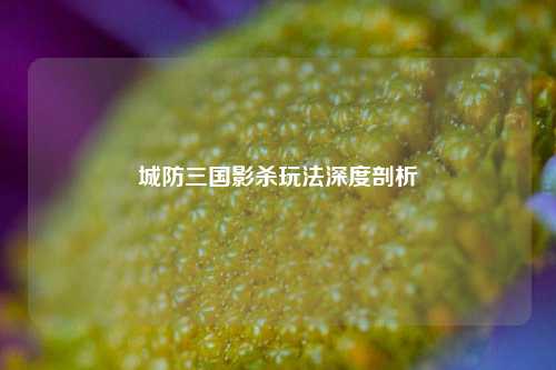 城防三国影杀玩法深度剖析
