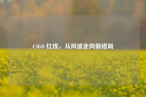 CSGO 红线,从风波走向新格局