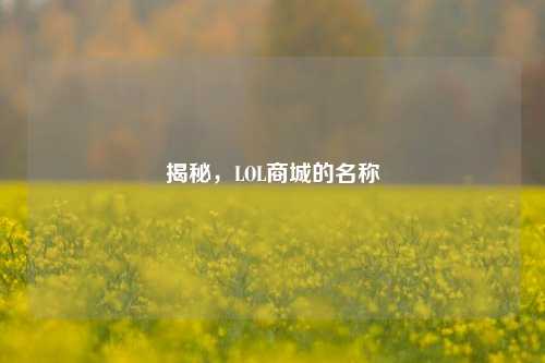 揭秘,LOL商城的名称