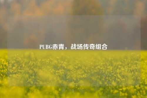 PUBG赤青,战场传奇组合