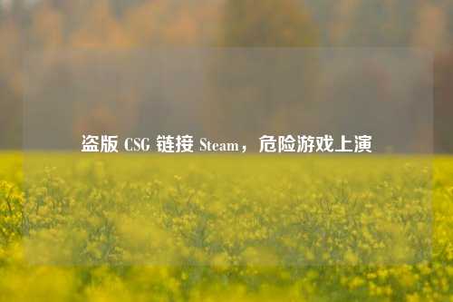 盗版 CSG 链接 Steam,危险游戏上演