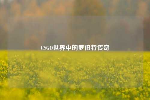 CSGO世界中的罗伯特传奇