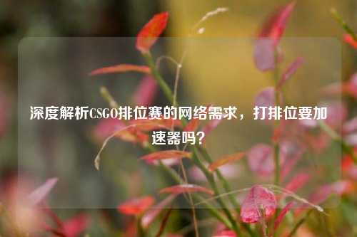 深度解析CSGO排位赛的 *** 需求,打排位要加速器吗?