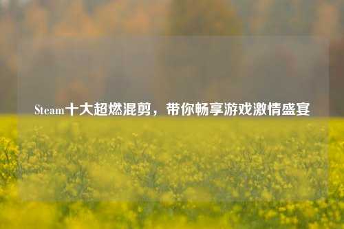 Steam十大超燃混剪,带你畅享游戏***盛宴
