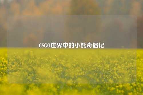 CSGO世界中的小熊奇遇记