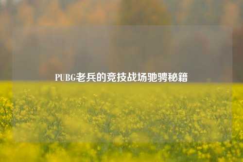 PUBG老兵的竞技战场驰骋秘籍