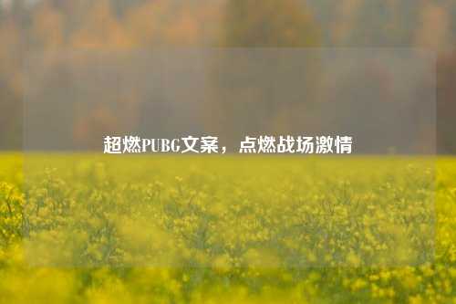 超燃PUBG文案,点燃战场***