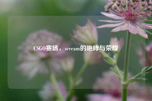 CSGO赛场,scream的咆哮与荣耀
