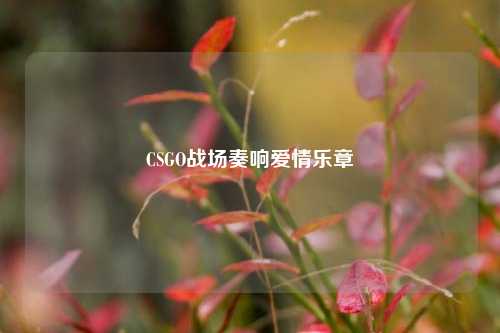CSGO战场奏响爱情乐章