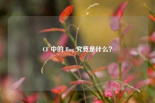 CF 中的 Bug 究竟是什么?