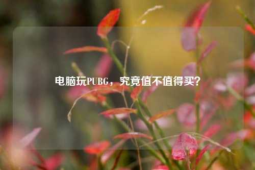 电脑玩PUBG,究竟值不值得买?