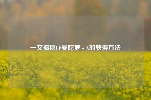 一文揭秘CF曼陀罗 - X的获得 ***
