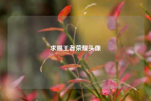 求赐王者荣耀头像