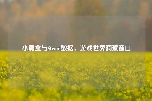 小黑盒与Steam数据,游戏世界洞察窗口