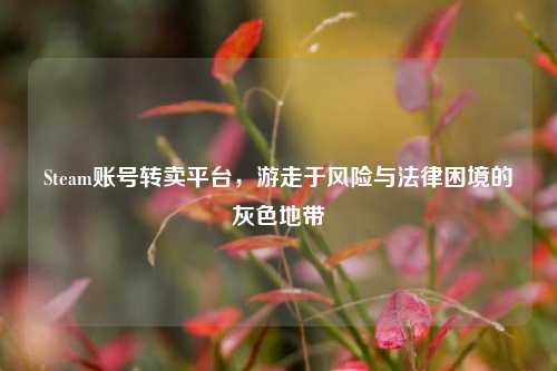 Steam账号转卖平台,游走于风险与法律困境的灰色地带