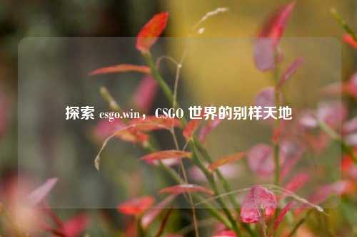 探索 csgo.win,CSGO 世界的别样天地