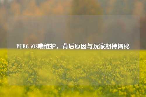 PUBG iOS端维护,背后原因与玩家期待揭秘