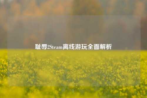 耻辱2Steam离线游玩全面解析