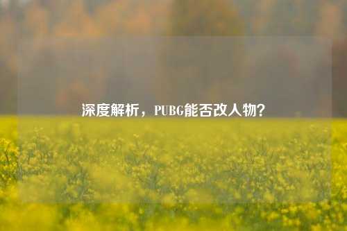 深度解析,PUBG能否改人物?