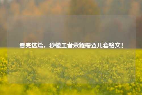 看完这篇,秒懂王者荣耀需要几套铭文!