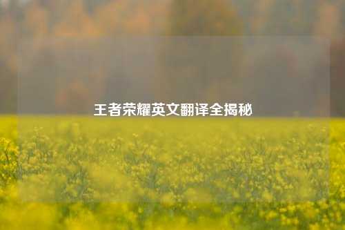 王者荣耀英文翻译全揭秘
