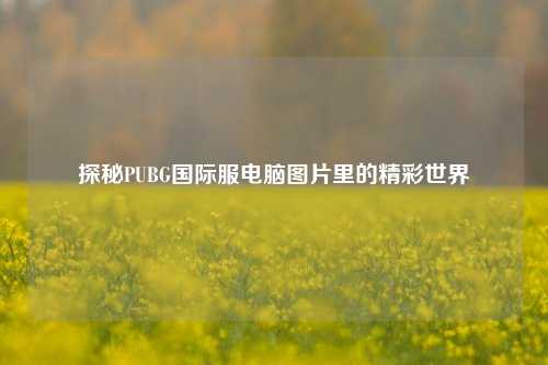 探秘PUBG国际服电脑图片里的精彩世界