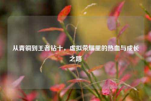 从青铜到王者钻十,虚拟荣耀里的热血与成长之路