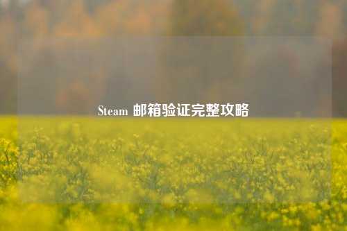 Steam 邮箱验证完整攻略