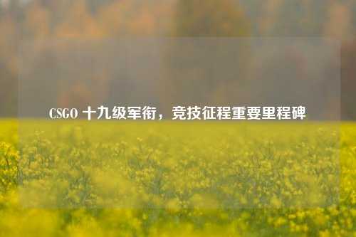 CSGO 十九级军衔,竞技征程重要里程碑