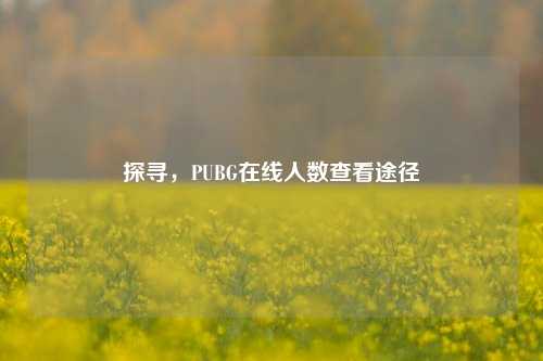 探寻,PUBG在线人数查看途径