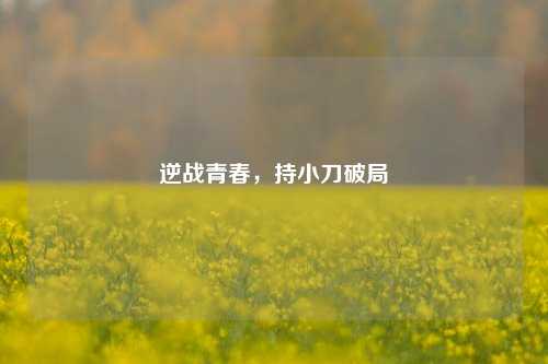 逆战青春,持小刀破局