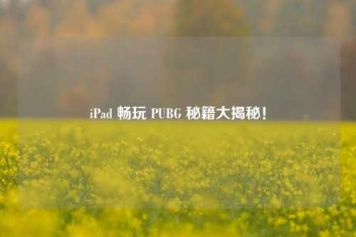 iPad 畅玩 PUBG 秘籍大揭秘!