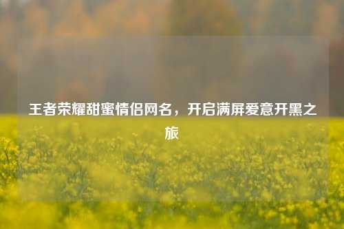 王者荣耀甜蜜情侣网名,开启满屏爱意开黑之旅