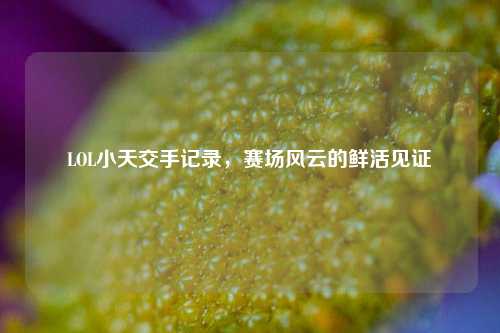 LOL小天交手记录,赛场风云的鲜活见证