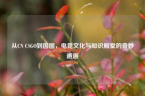 从CN CSGO到国图,电竞文化与知识殿堂的奇妙邂逅